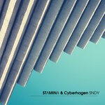 cover: Stamina|Cyberhagen - SNDY