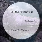 cover: Tp Muziq - Beautiful Season