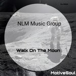 cover: Motivesoul - Walk On The Moon