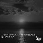 cover: Andrey Sirotkin|Katiko Purtseladze - Silver