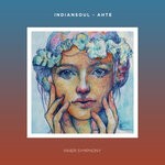 cover: Indiansoul - Ahte