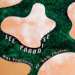 cover: Lee Paradise|New Chance - Not Practical