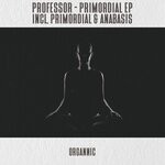 cover: Professor (ro) - Primordial EP