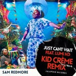 cover: Lumi Hd|Sam Redmore - Just Can't Wait (Kid Creme Remix)