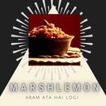 cover: Marshlemon - Aram Ata Hai Logi