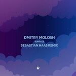 cover: Dmitry Molosh - Surface (Sebastian Haas Remix)