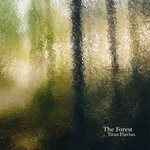 cover: Titus Flavius - The Forest