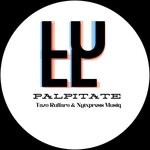 cover: Nytxpress Musiq|Tazo Ruffaro - Palpitate