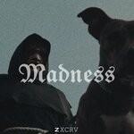 cover: Zxcrv - Madness