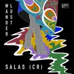 cover: Salas (CR) - Wanderlust (Original Mix)