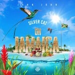 cover: Silver Cat - Oh Jamaica