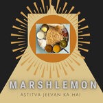 cover: Marshlemon - Astitva Jeevan Ka Hai