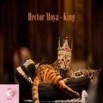 cover: Hector Moya - King (Original Mix)