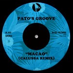 cover: Pato's Groove - Macao (Calussa Remix)