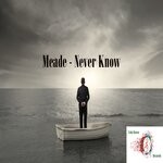 cover: Meade - Never Know (Original Mix)