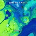 cover: Zebra Rec.|Mark.x - Vivaldrix