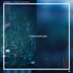 cover: Dreweybear|Damsel Adams - I Can Explain