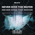 cover: Delayz - Never Miss The Water