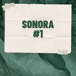 cover: Marktech - Sonora 1