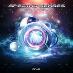 cover: Spectro Senses - Circle Forms