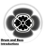 cover: Various - Drum & Bass Introductions