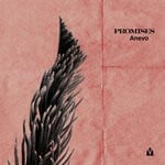 cover: Anevo - Promises