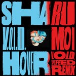 cover: Sha Ru - V.O.I.D.