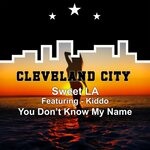 cover: Kiddo - You Don't Know My Name