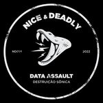 cover: Data Assault - Destruicao Sonica