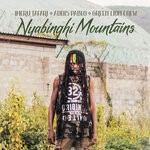 cover: Imeru Tafari|Green Lion Crew|Addis Pablo - Nyabinghi Mountains