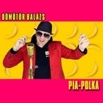 cover: Domotor Balazs - Pia-Polka (Radio Edit)