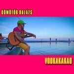 cover: Domotor Balazs - Vodkakakao (Radio Edit)