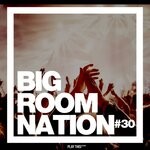 cover: Various - Big Room Nation Vol 30