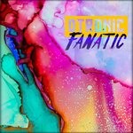 cover: Dtronic - Fanatic