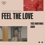 cover: Aach|Tres Mortimer - Feel The Love