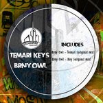 cover: Brny Owl - Temari Keys