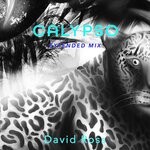 cover: David Ross - Calypso (Extended Mix)