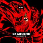 cover: Various - Hot Summer 2022