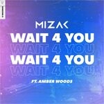 cover: Amber Woods|Mizak - Wait 4 You