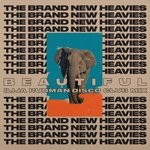 cover: The Brand New Heavies - TBNH (Ilija Rudman Mixes)