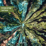 cover: Dj Andy De Gage' - Lost Forest