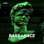 cover: Various - Bass In Your Face Vol 13