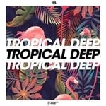 cover: Various - Tropical Deep Vol 25