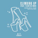 cover: Fleur De Mur|Colour Castle - Climbing Up (Mind Electric Remix)