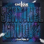 cover: Sentinel Groove - I Can Feel It