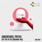 cover: Gaboredber|Prysex - Sht The Fk Up (Original Mix Explicit)