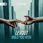 cover: Levout - Hold You Now