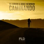 cover: Mike Newman|Dj Junior - Caminando