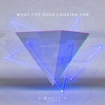 cover: Biometrix - Found What I've Been Looking For