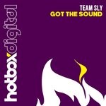 cover: Team Sly - Got The Sound